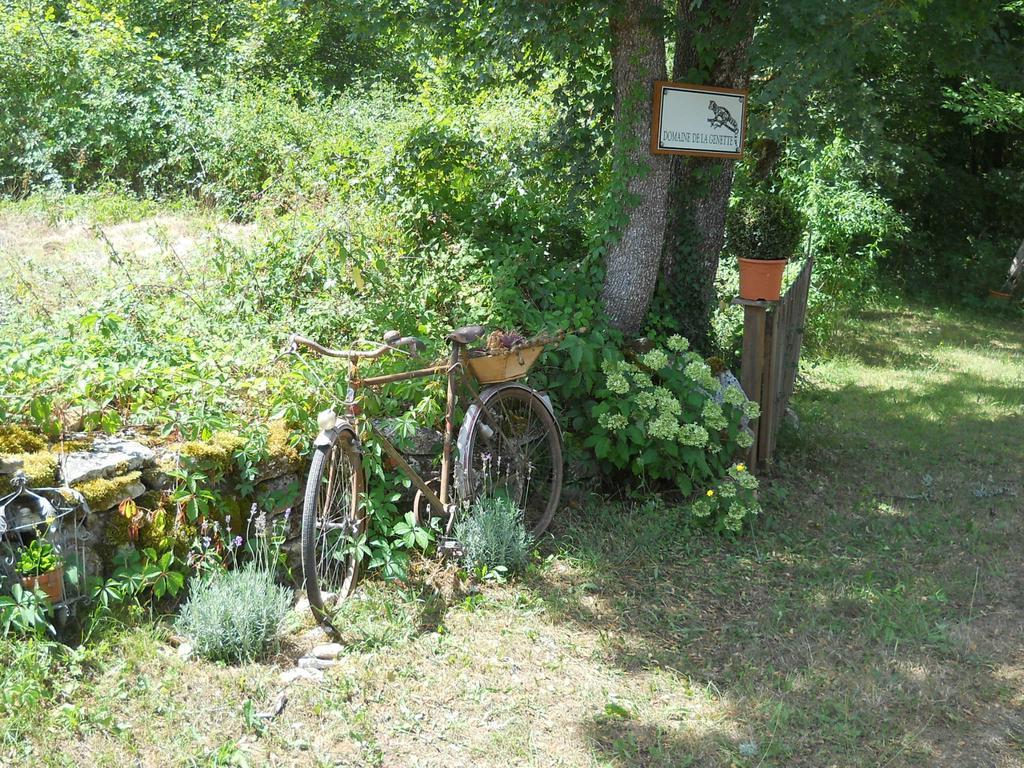 Le Domaine De La Genette Villa Paussac-et-Saint-Vivien Bagian luar foto